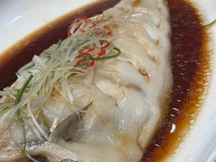 -金狮麟·新豫菜(金码大厦店)