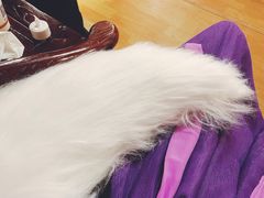 -百川·追风楼沉浸式剧本杀