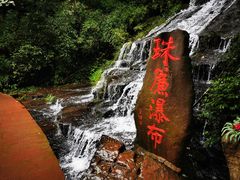 -中国大熊猫保护研究中心雅安碧峰峡基地