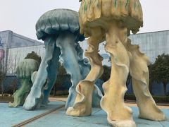 -芜湖新华联大白鲸海洋公园