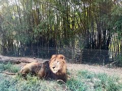 -乐和乐都主题乐园