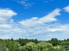 -北京西山国家森林公园