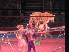 -环球城国际大马戏