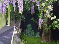 -魔法日记三坑cosplay换装自拍体验馆