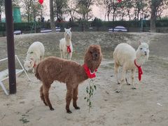 -盈香心动乐园