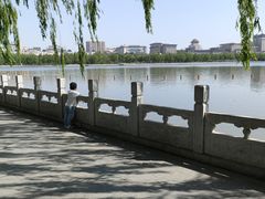 -莲花池公园