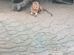 -常州淹城野生动物世界