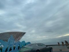 -南汇嘴观海公园