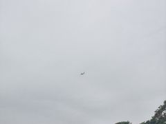 -深圳湾公园(南山区)