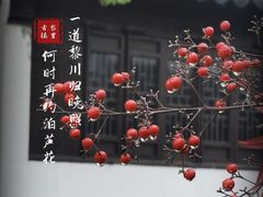 -黎里古镇