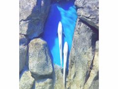 -福州罗源湾海洋世界旅游区