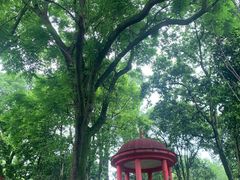 -南山植物园