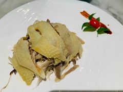 -蝶园·装修中(BFC外滩金融中心店)