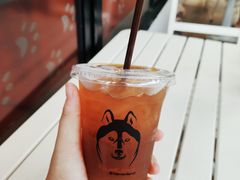 -TrueLove @ Neverland (Husky Cafe)