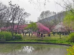 -采石矶景区