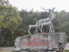 -长沙黑麋峰国家森林公园