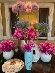 -巍阁高端月子会所