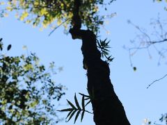 -重庆彩云湖湿地公园