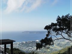 -三亚亚龙湾人间天堂鸟巢度假村