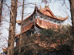 -成都动物园