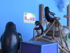 -石家庄极地海洋世界