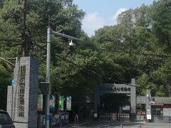 -南山植物园