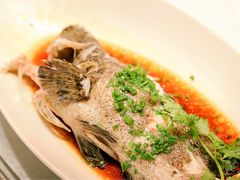 -外高桥喜来登酒店采悦轩