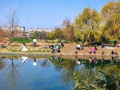 -两河城市森林公园