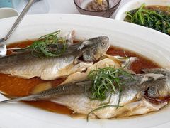 -莆田餐厅PUTIEN(颐堤港店)