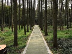 -同里国家湿地公园