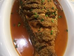-松针蔡记蒸饺(花园路店)