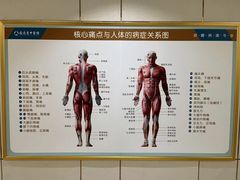-通透堂中医·精准推拿(旗舰店)