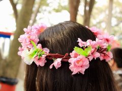 -武汉大学-樱园