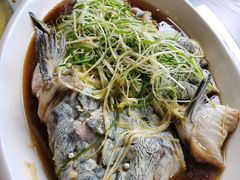 -稻香村鱼庄