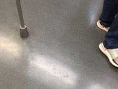 -龙阳路磁悬浮列车总站-停车场