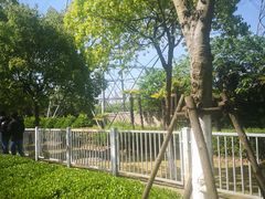 -外高桥保税区南(地铁站)