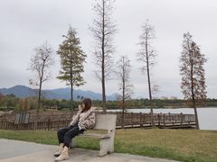 -飞来湖湿地公园