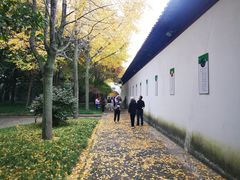 -西园戒幢律寺