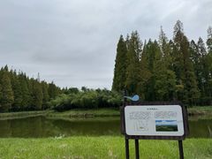 -黄海国家森林公园