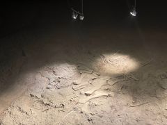 -世界恐龙谷景区