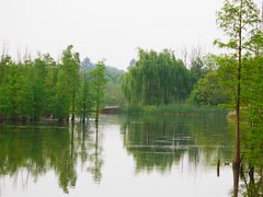 -白鹭湾湿地公园