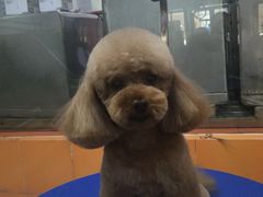 -惠康宠物医院(华能路店)