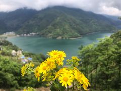 -雷波马湖风景区