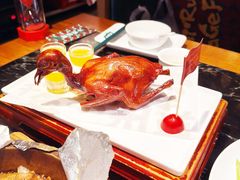 红烧乳鸽-大鸽饭(北京路店)