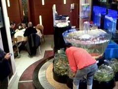 android_upload_pic-陶陶居海鲜酒家(新马路店)