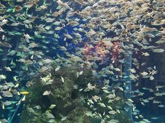 -成都浩海立方海洋公园