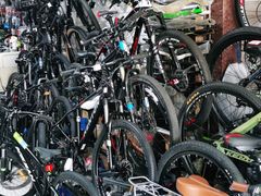 -道路口单车爱瓦士dahon大行