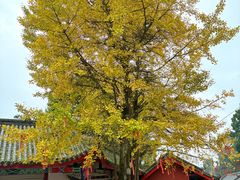 -金堂县云顶石城风景区