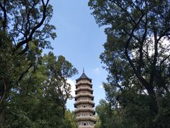 -灵谷景区