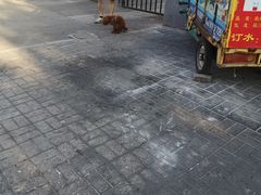 -厚味居炙子烤肉·清真(天桥南纬路店)